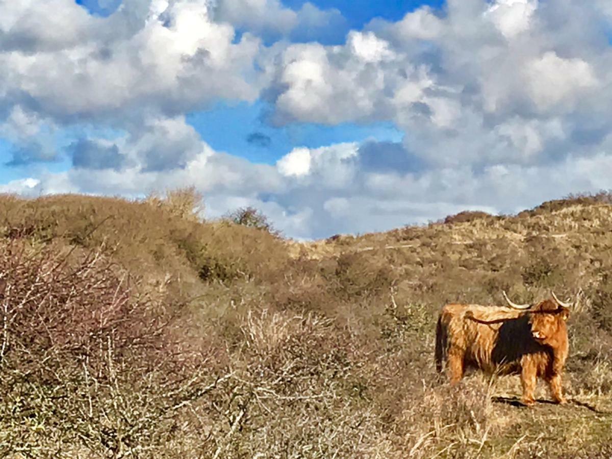 Апартаменти Achter De Duinen Зандворт Екстер'єр фото