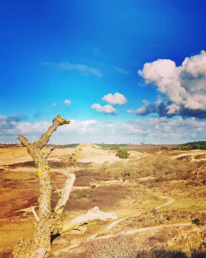 Апартаменти Achter De Duinen Зандворт Екстер'єр фото